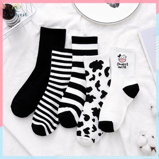 Set tất bò sữa cổ cao 5 đôi