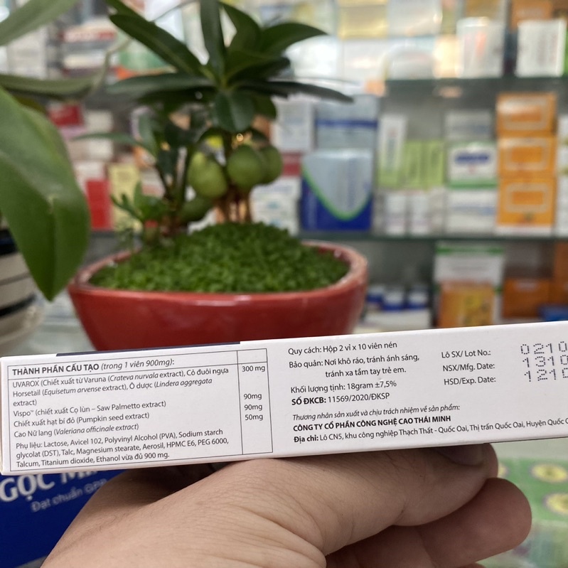 ✅ [Chính Hãng] Vương Niệu Đan Hỗ trợ giảm tình trạng tiểu đêm, tiểu nhiều lần, tiểu gấp, tiểu són, tiểu không tự chủ.