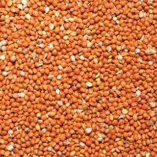 Hạt kê đỏ 100g