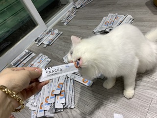 Súp Thưởng Snacks Pet