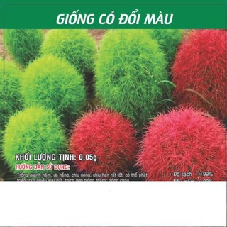 Hạt giống cỏ đổi màu 0.05gr