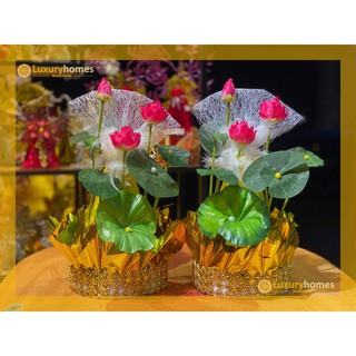 Oản sen bày bàn thờ | LU