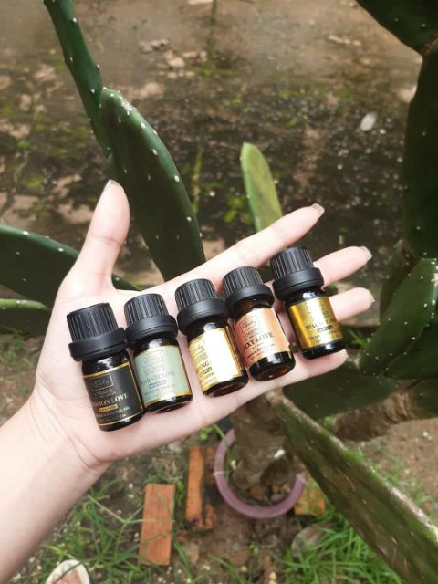 [CHÍNH HÃNG] Nước hoa vùng kín cao cấp qlady | BigBuy360 - bigbuy360.vn