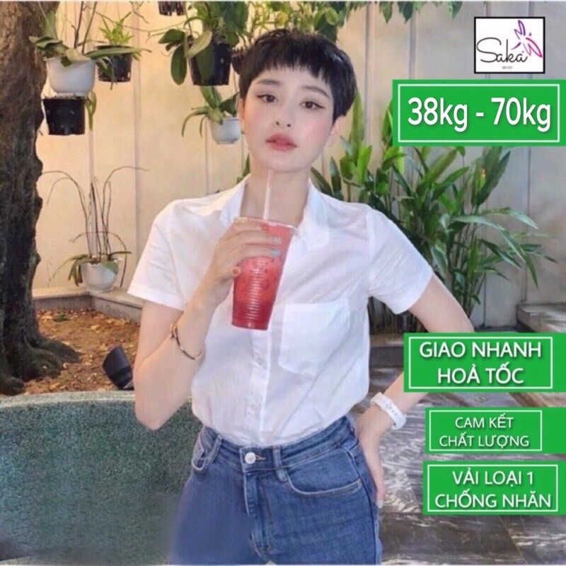 Áo sơ mi trắng nữ tay ngắn có túi kate lụa Hàn không nhăn