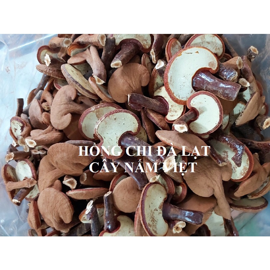 Nấm linh chi đỏ Đà Lạt cao cấp CNV 500g