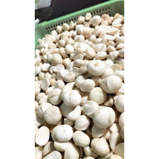 [Hàng cao cấp]# Hạt Măc ca sấy nứt Đăk Lăk Loai 1kg