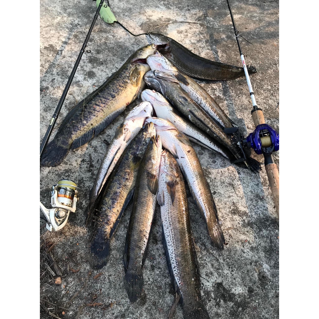 Mồi lure nhái hơi TNQ T1  và T3  - Toán Nhà Quê câu cá LƯỠI TITAN