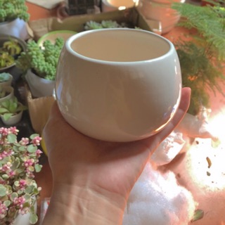 Chậu Hạt Dẻ, Chậu Tròn Trồng Cây giá rẻ, Chậu để bàn cây cảnh