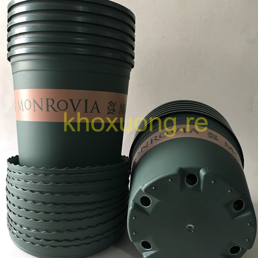 5 Bộ Chậu Nhựa MONROVIA Nhập Khẩu - Gallon Long Phụng ATP - Chậu Decor Trang Trí + Tặng Đĩa Lót (5Gallon)