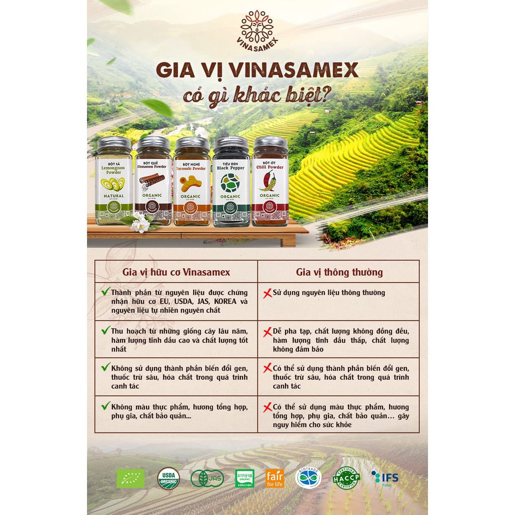 Bột gia vị hữu cơ - hành - tỏi - quế - sả - gừng - nghệ - tiêu - ớt - hồi Vinasamex