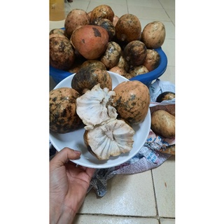 Giống cây nê na