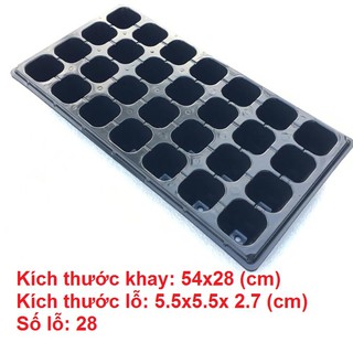Combo 10 khay ươm hạt 28 lỗ, hàng loại 1 chất lượng cao