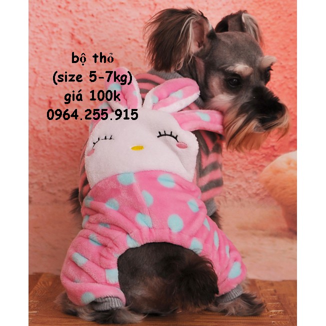 áo lông (sale, hàng đẹp, shop giao mẫu ngẫu nhiên)