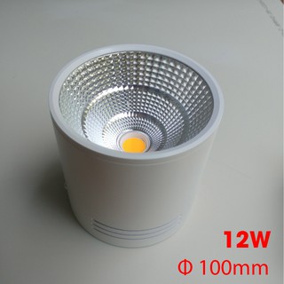 Đèn ống bơ, đèn lon 12W/Φ100