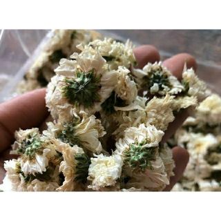 500g trà hoa cúc trắng