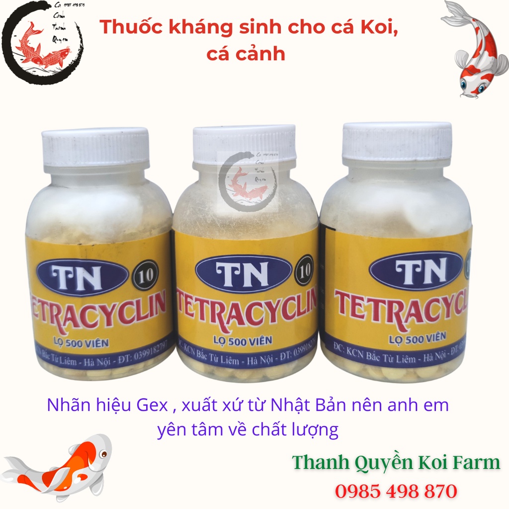 Thuốc kháng sinh trị lở loét nhiễm khuẩn cho cá Koi, cá cảnh TN 10 Lọ 500 viên