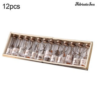 Set 12 Lọ Điều Ước Nhỏ Có Nút Bần