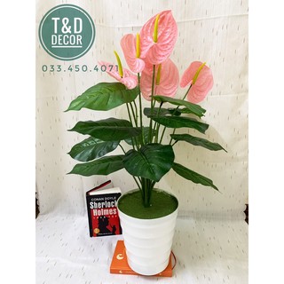 Cây giả- cây môn hồng 70cm