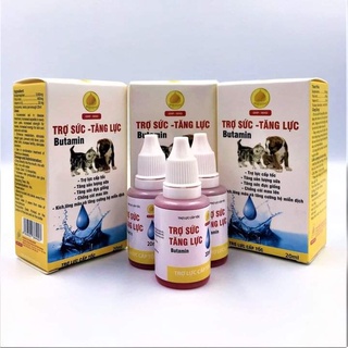 Trợ sức- tăng lực cho chó mèo
