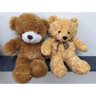 Set 2 gấu bông teddy 50-55cm