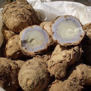 500g bột nghệ đen Nghệ An