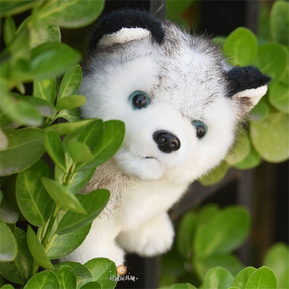 LILYES Chú Chó Husky Nhồi Bông Đáng Yêu 20 / 25 / 30cm