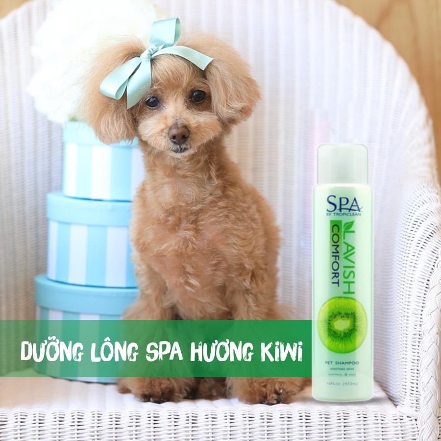 148ml - TROPICLEAN - DẦU GỘI DƯỠNG LÔNG HƯƠNG KIWI SPA COMFORT Sữa tắm cho chó dưỡng lông bóng mượt