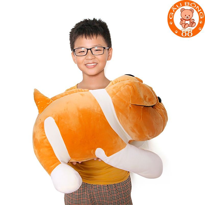 Gấu bông chó nhăn cao cấp size 60cm