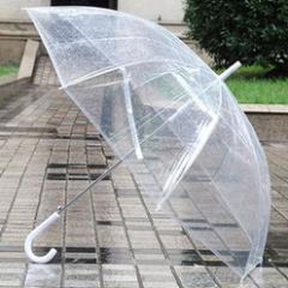 Ô trong suốt đi mưa-dù che mưa trong suốt tự động đóng mở gấp gọn chống thấm
