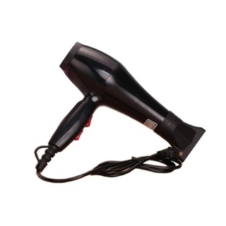 Máy Sấy Tóc 2 Chiều 8815