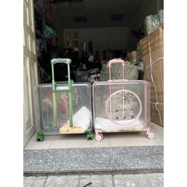 Vali Vuông  Kéo HOT HIT TIKTOK 2021 Dành cho Cún & Mèo 50x50x28