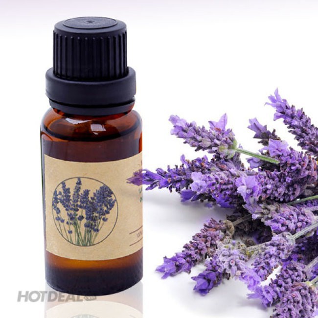 [GIÁ TỐT] Tinh Dầu Oải Hương Lavender Nguyên Chất