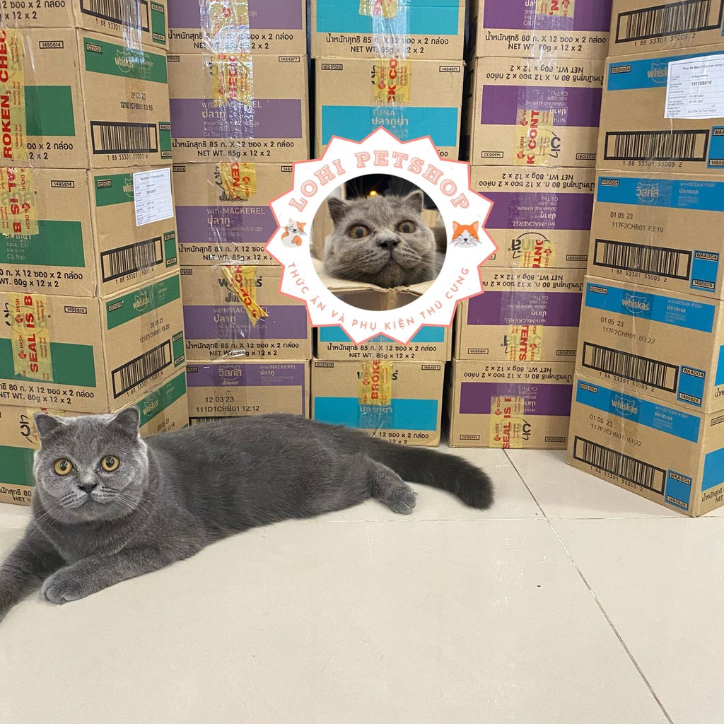 [Whiskas] Thức ăn pate Whiskas cho mèo lớn và mèo con (chọn vị)