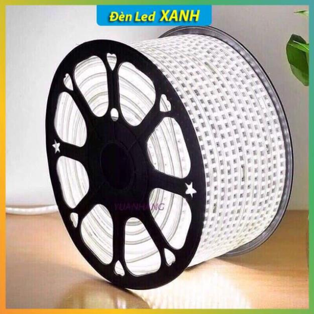 Dây đèn trang trí, Dây đèn led ngoài trời 2835 đa năng dùng trên trần nhà - tường - quấn cây....