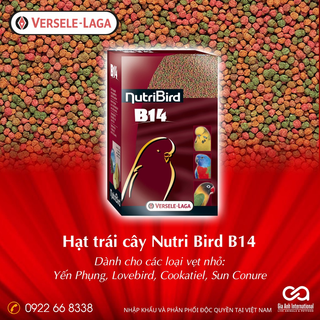 Hỗn hợp hạt trái cây nhiều dinh dưỡng Versele-Laga NutriBird B14 dành cho các loại Vẹt nhỏ - Nguyên gói 1kg và thùng 4kg