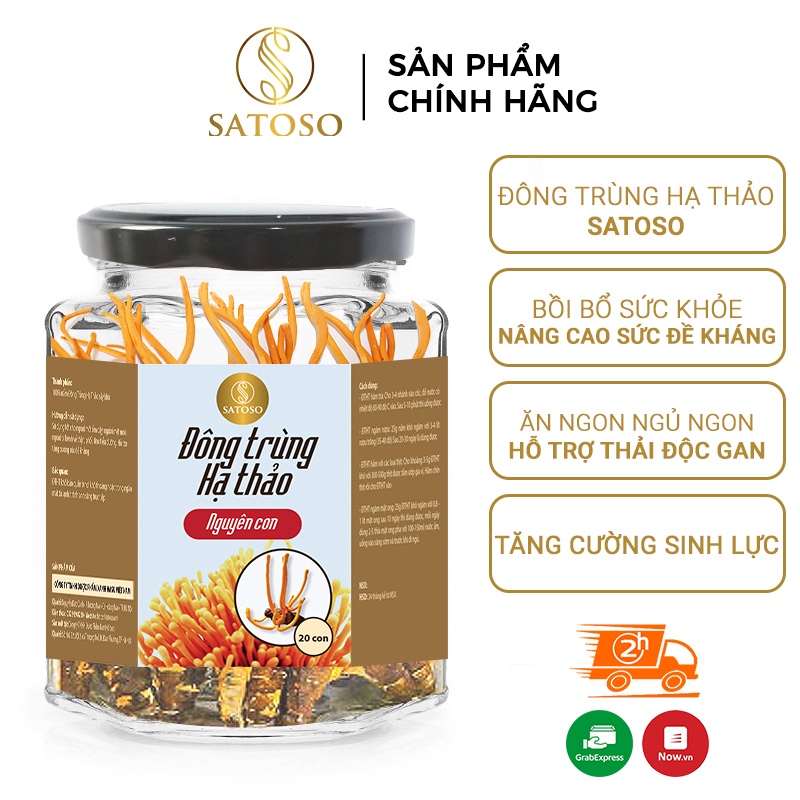 Đông trùng hạ thảo ký chủng nhộng tằm nguyên con nuôi cấy Đà Lạt thương hiệu SATOSO 100 con SA008
