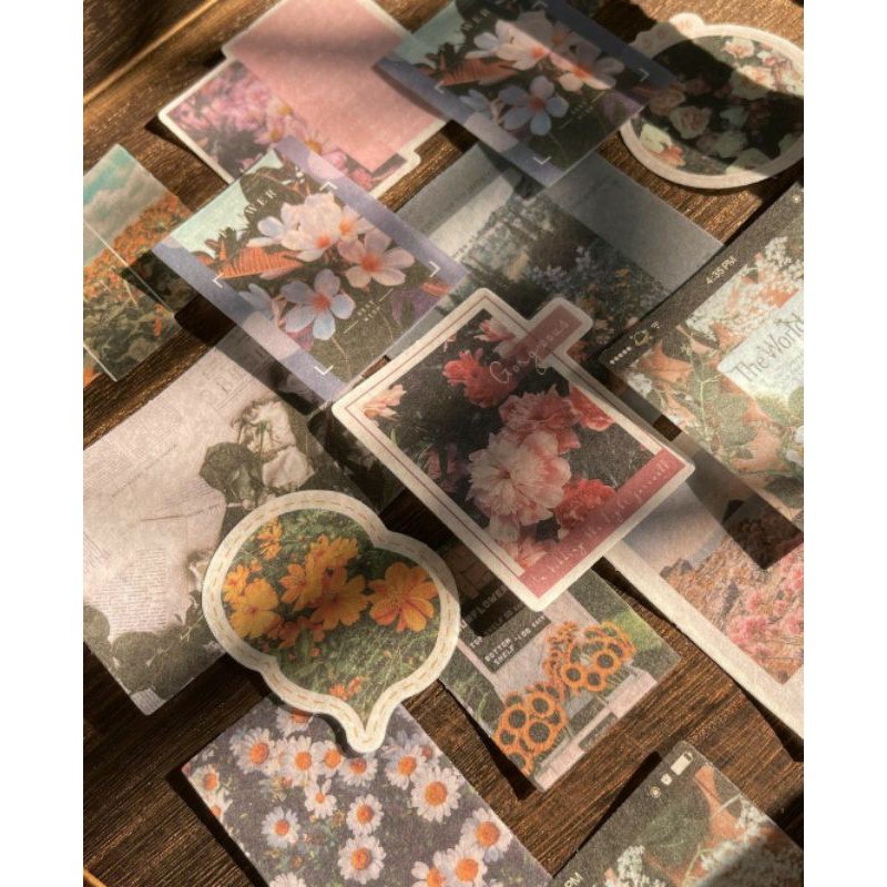 Sticker phong cảnh vintage | Shopee Việt Nam