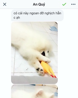 Đồ chơi gà bóp có tiếng kêu cho chó mèo, thú cưng