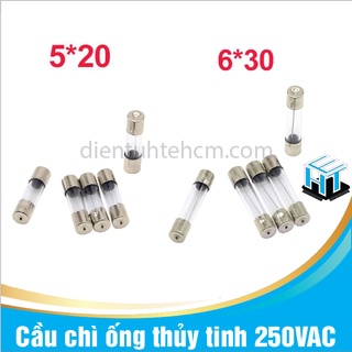 Cầu chì ống thủy tinh 6x30mm 250vac các loại combo 10 cái