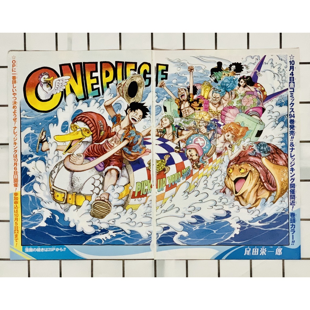 Tổng hợp tranh màu đôi của One Piece