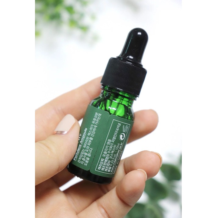 Tinh Chất Chăm Sóc Cho Da Mụn Caryophy Portulaca Ampoule 10ml | BigBuy360 - bigbuy360.vn
