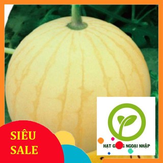 Gói 10 hạt giống dưa hấu vàng ruột vàng HAT F1