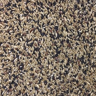 Combo 10kg hạt trộn yến hót (Manitoba)
