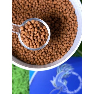 Thức Ăn Cá Ali TROPICAL FISH - Hủ 75gram ( Hạt 2mm)