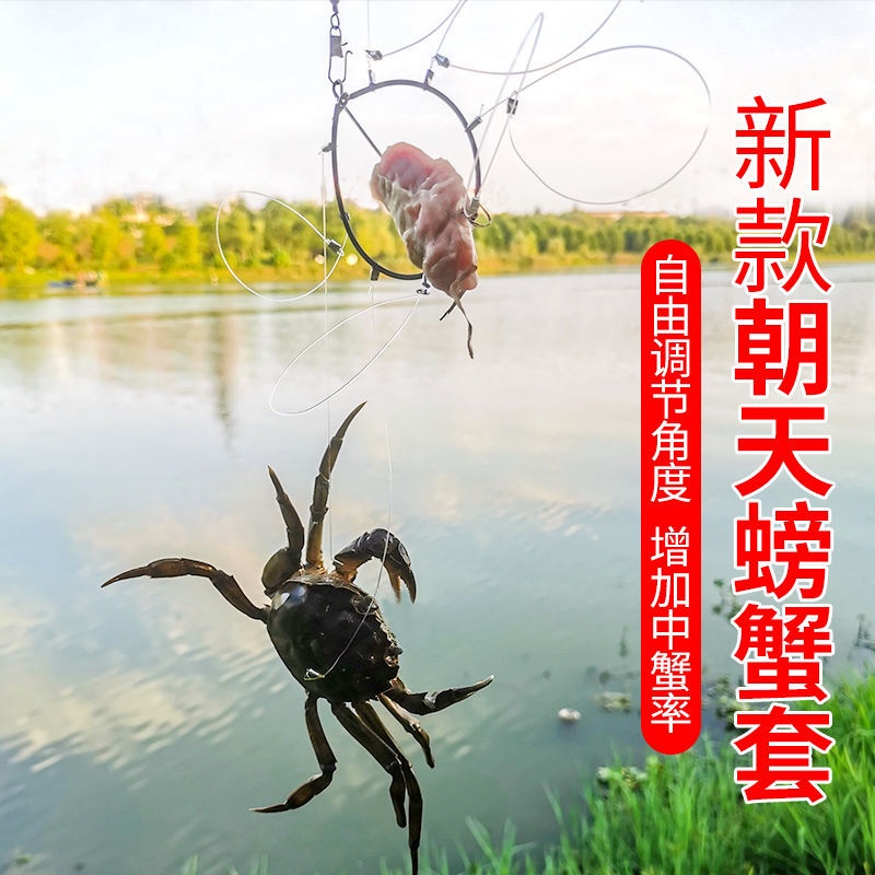 Bộ Dụng Cụ Câu Cá Gồm Vòng Càng Cua Màu Xanh Lá Cây Và Móc Càng Cua Tiện Dụng