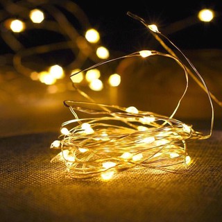 Đèn led đom đóm 2m kèm sẵn pin đĩa, Đèn trang trí Fairy Light - Decor Fancy