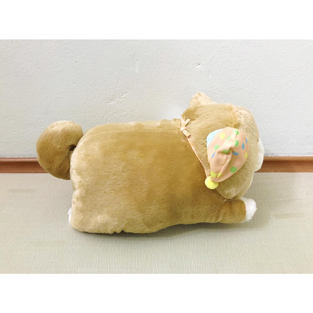 SK JAPAN - Bé cún Mochishiba đội mũ chóp cute