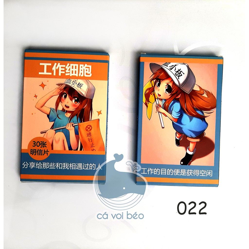 [SALE GIÁ XƯỞNG] [Hộp 30-180 tấm] Postcard bưu thiếp Biệt đội tế bào Hataraku Saibou bưu thiếp manga anime