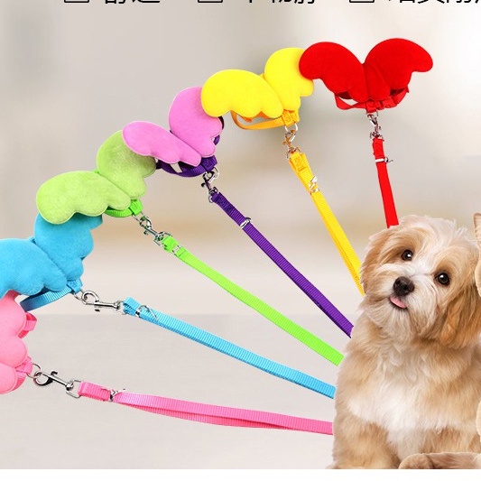 Dây dắt cánh thiên thần cho chó mèo