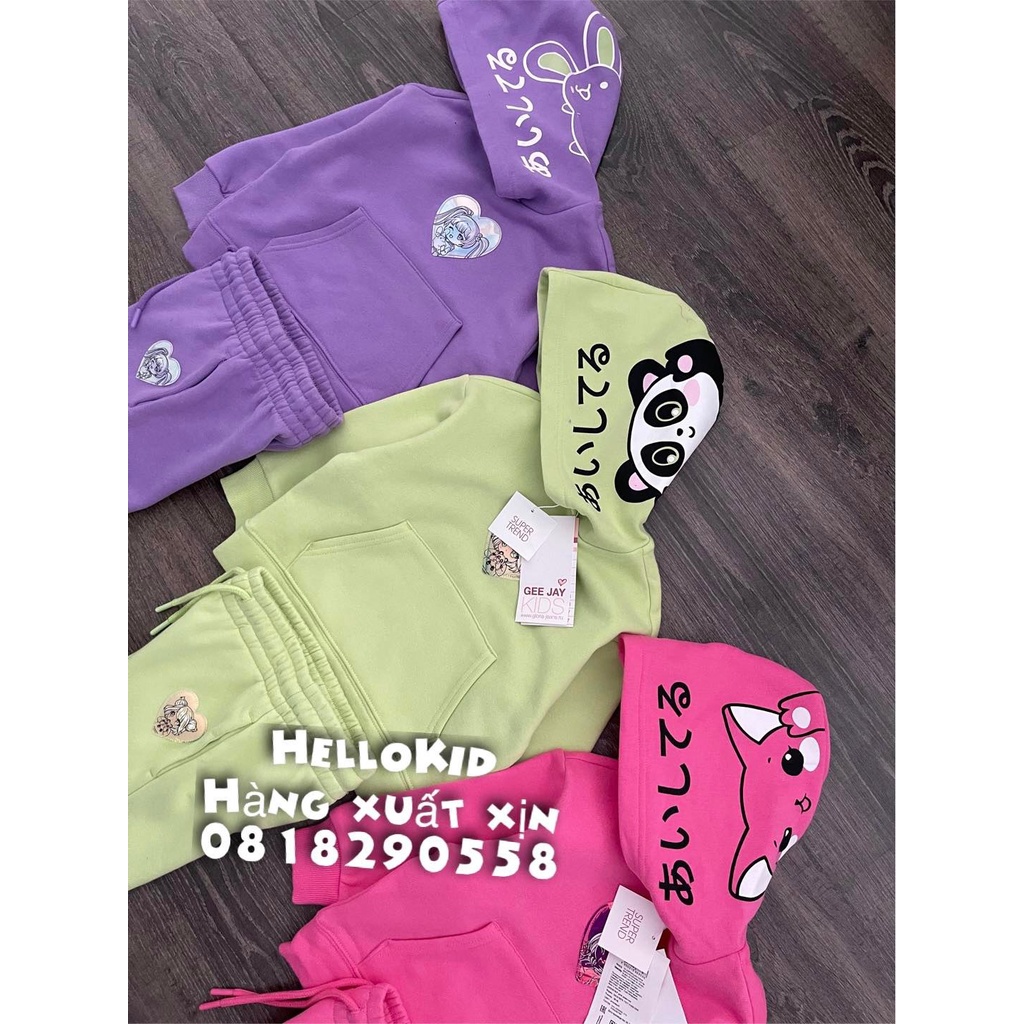 B341 - Bộ nỉ trơn hoodie bé gái huy hiệu bóng